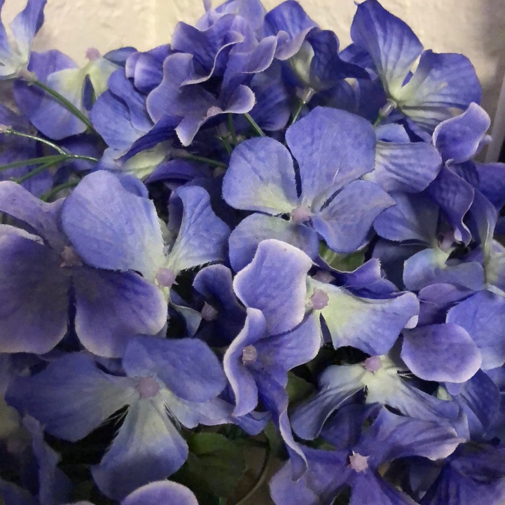 Meet your Posher, Kass